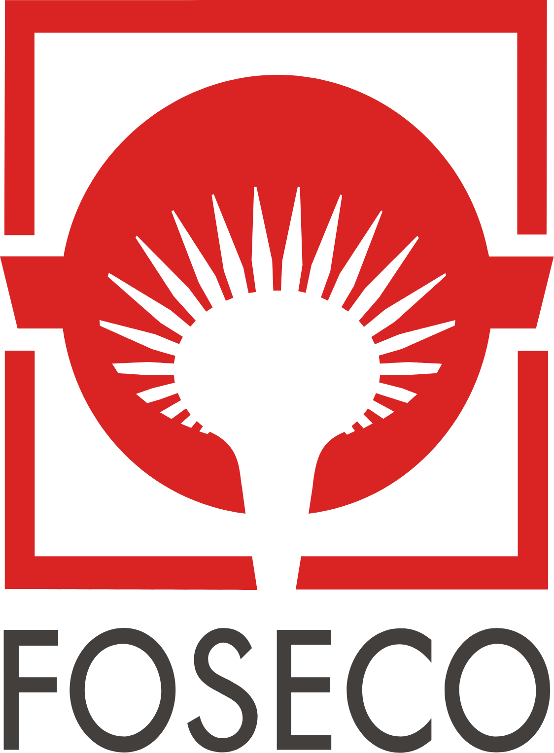 VESUVIUS / FOSECO logo